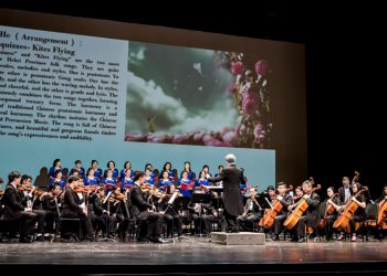 激情火热的音乐盛宴-华人艺术家中心晚会